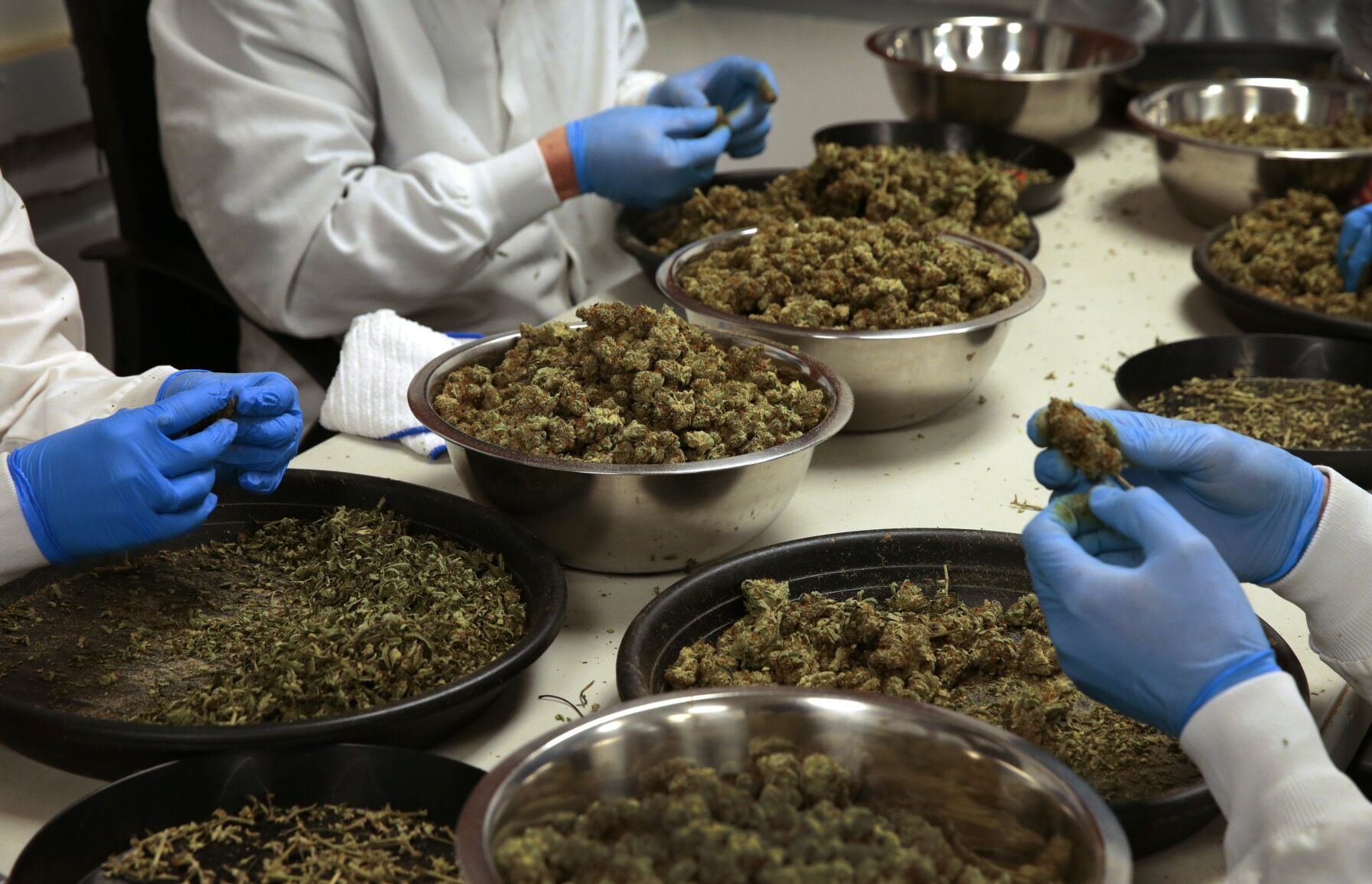 Booming Missouri cannabis industry looks to soar higher with amendment passage